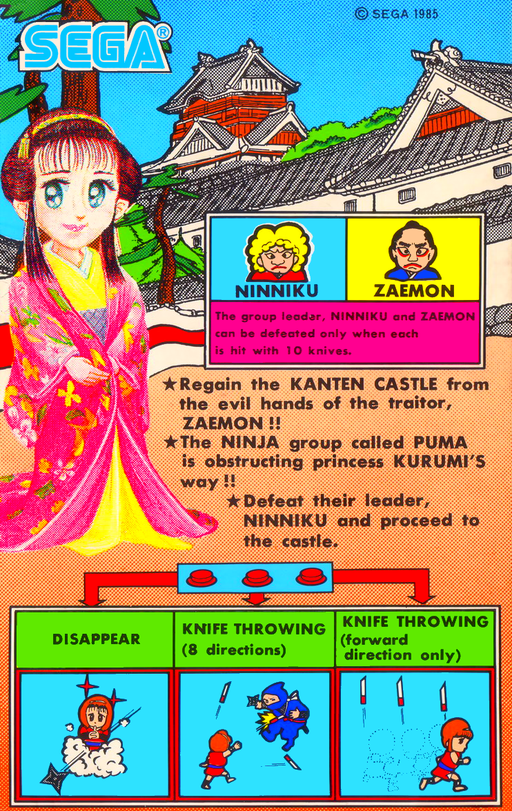 Ninja Princess (64k Ver. not encrypted) Arcade Game Cover